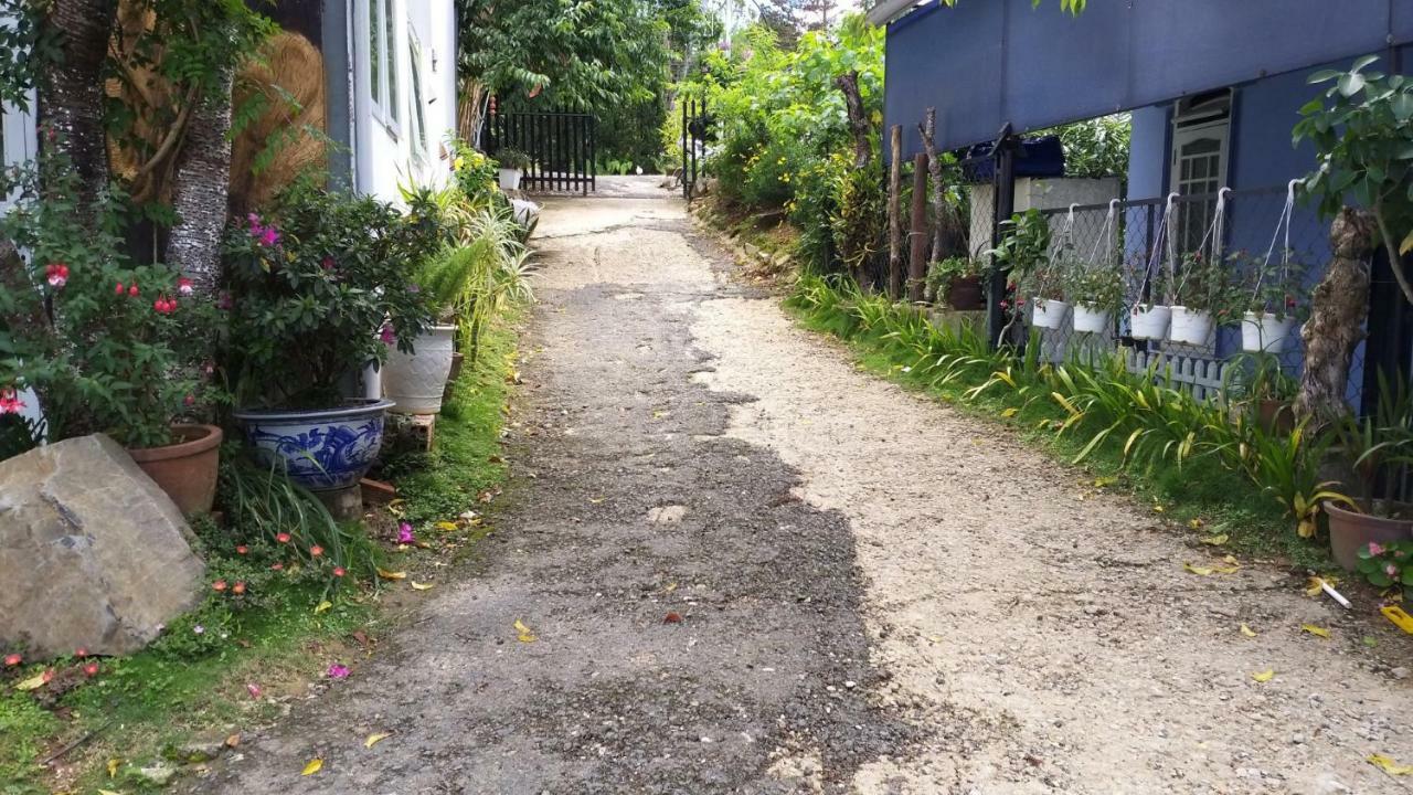 Homestay Doc Tinh ダラット エクステリア 写真