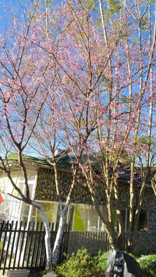 Homestay Doc Tinh ダラット エクステリア 写真